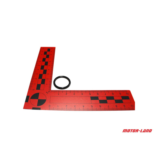 O-ŽIEDAS 19X2.4MM NC450