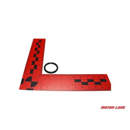 O-ŽIEDAS 19X2.4MM NC450