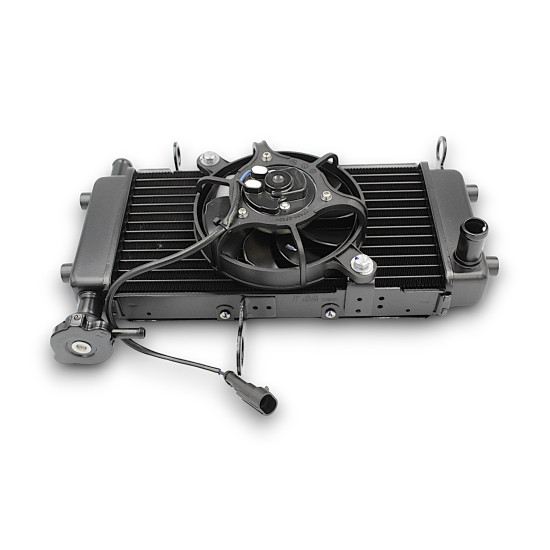 WATER TANK ASSEMBLY SRV 125
