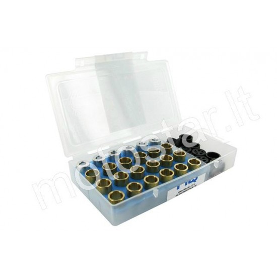 16x13 Polini adjustable weight set