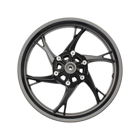 FRONT WHEEL RING ASSEMBLY SRK125S
