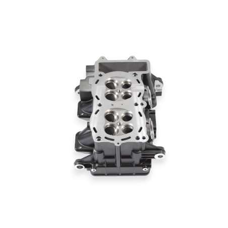 CYLINDER HEAD SRT800 SRT800S