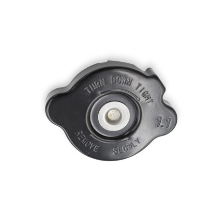 FILLER CAP SRV 125