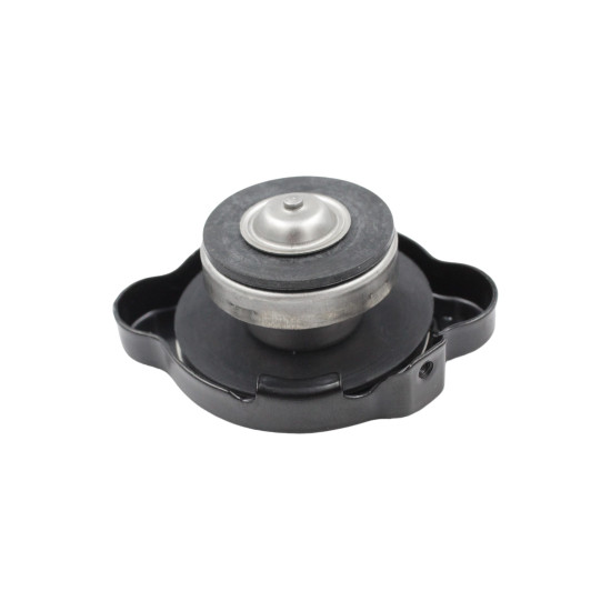 FILLER CAP SRV 125