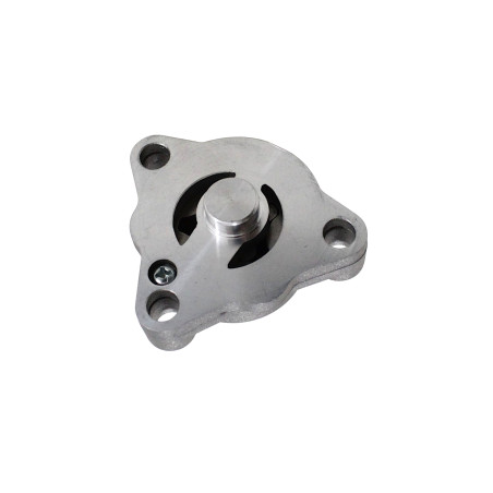 ALYVOS SIURBLIO BLOKAS SRK125S SRV125