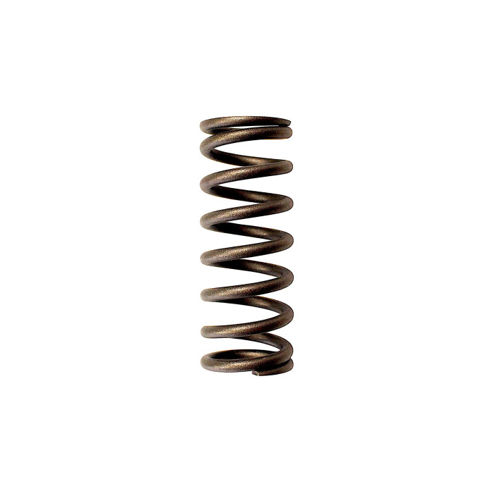 CLUTCH SPRING SRT800 SRT800S
