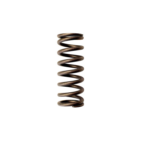 CLUTCH SPRING SRT800 SRT800S