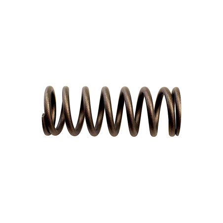 CLUTCH SPRING SRT800 SRT800S