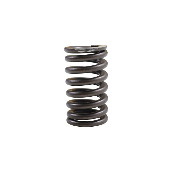 SPRING, VALVE INLET SRT550X