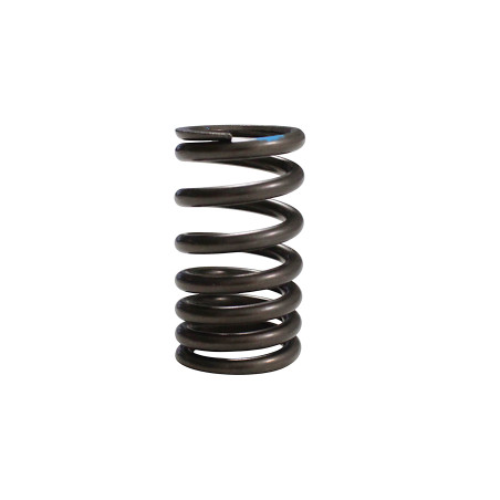 VALVE SPRING SVT650 SVT650X