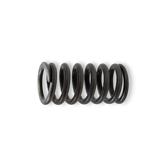 VALVE INNER SPRING SRT800 SRT800S