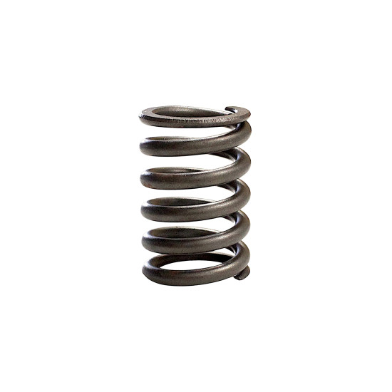 VALVE OUTER SPRING SRT800 SRT800S