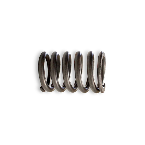 VALVE OUTER SPRING SRT800 SRT800S