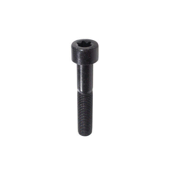 Hexagon socket Torx cheese screw M10×1.25×55 SRK700