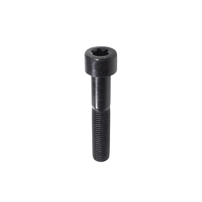 Šešiakampis lizdinis Torx sūrinis varžtas M10×1,25×55 SRK700