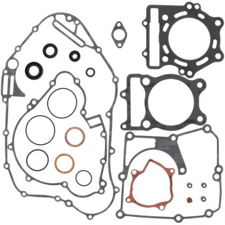 WINDEROSA (VERTEX) variklio tarpinių komplektas su riebokšliais KAWASAKI KLF400 BAYOU 93-99