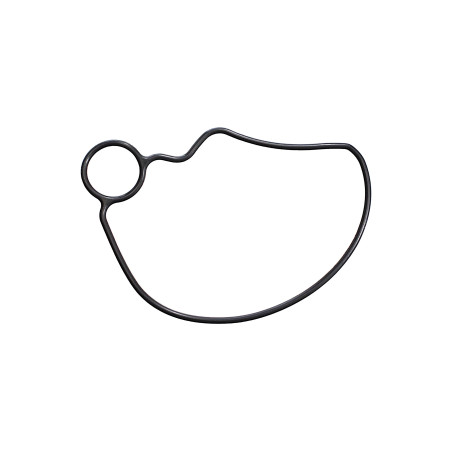 WATER PUMP GASKET SRT800 SRT800S