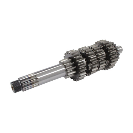 PIRMINIS VELENAS SRT800 SRT800S