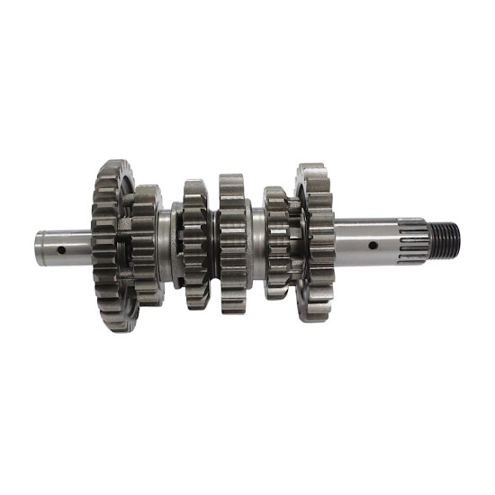 PRIEKINIO VELENĖLIO BLOKAS SRK125S SRV125