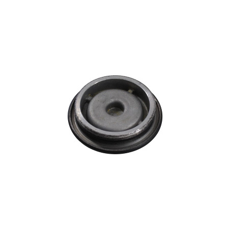 PHASE PLUG SRT800 SRT800S
