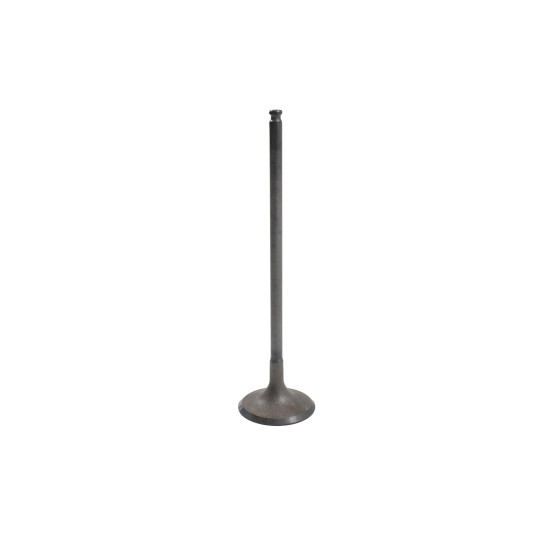 INTAKE VALVE SRT550X
