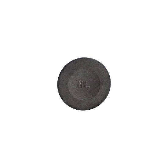 INTAKE VALVE SRT550X