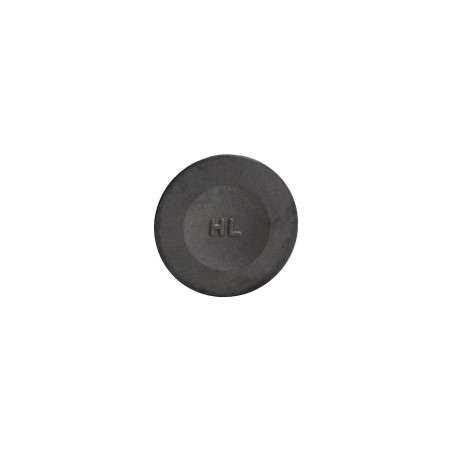 INTAKE VALVE SRT550X