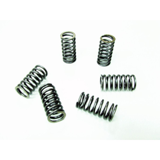 PSYCHIC clutch springs SUZUKI DR 650 '90-'95 (EBS026)