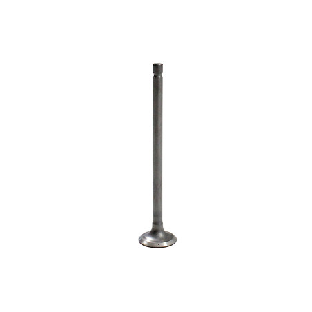 EXHAUST VALVE TRX125