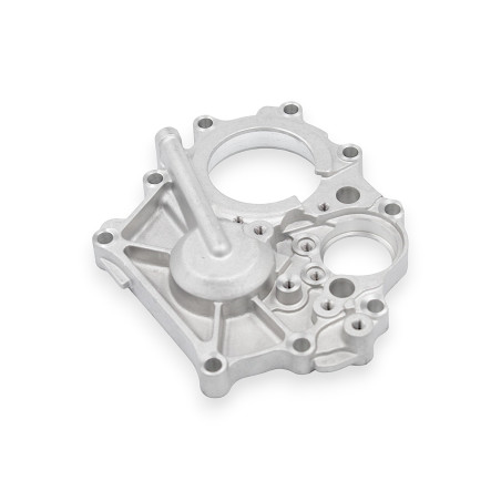 GEARBOX COVER (LEFT) SRV700