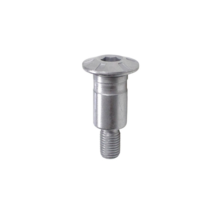SRV700 REAR BRAKE LEVER AXLE BOLT