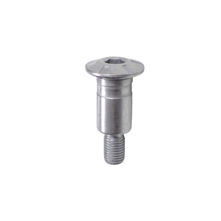 SRV700 REAR BRAKE LEVER AXLE BOLT