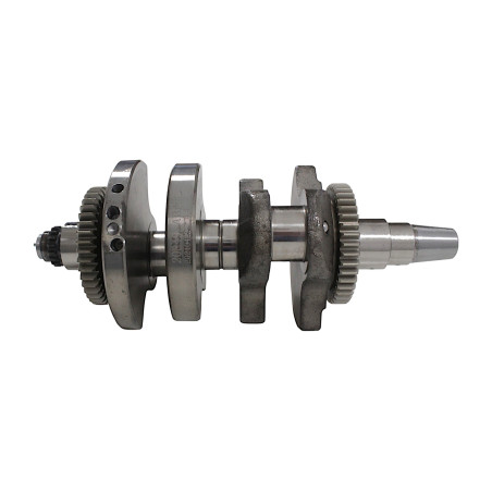 SRV700 crankshaft