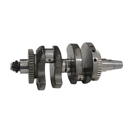 SRV700 crankshaft