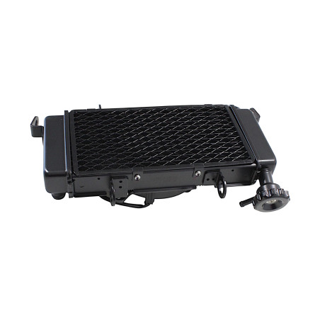 COMPLETE RADIATOR SRK125R
