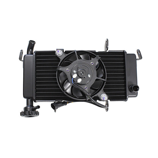 COMPLETE RADIATOR SRK125R