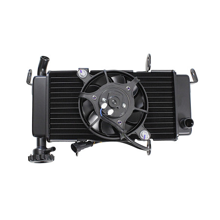 COMPLETE RADIATOR SRK125R