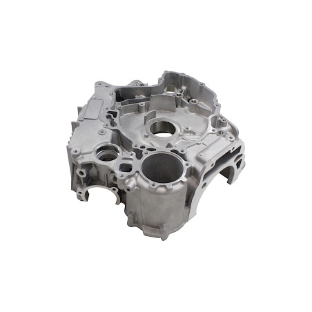 RIGHT ENGINE CRANKCASE SFA1000