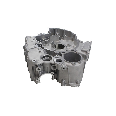 RIGHT ENGINE CRANKCASE SFA1000