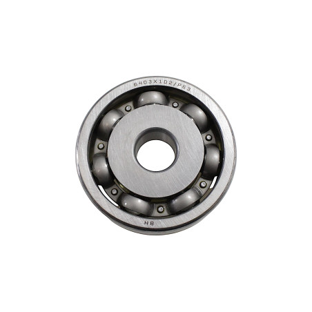 Ball bearing SFA1000 SFA600