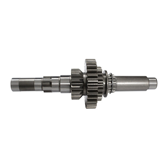 COMPLETE GEARBOX PRIMARY SHAFT SFA1000