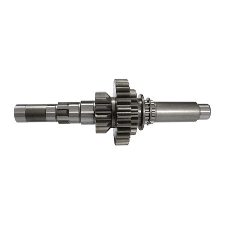 COMPLETE GEARBOX PRIMARY SHAFT SFA1000