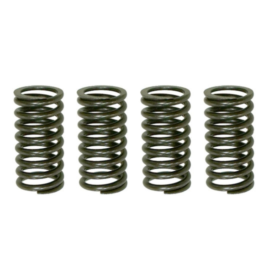 PSYCHIC clutch springs KAWASAKI KDX 200 '05-'06, HONDA NX 250R '88-'90 (EBS030)
