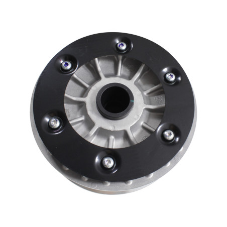 SFA600 CVT PAVAROS SKRIEMULYS
