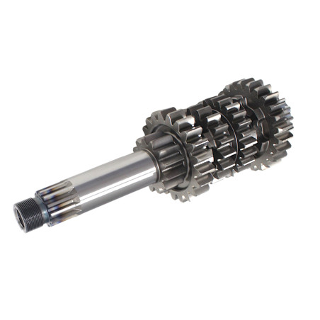 PILNAS TRANSMISIJOS PIRMINIS VELENAS SRT550SX SRT600SX