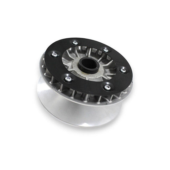 CVT pavaros skriemulys pilnas SFA1000