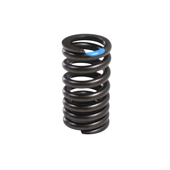 VALVE SPRING SRK800RR SRK800RR-LI