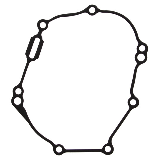 WINDEROSA (VERTEX) degimo...