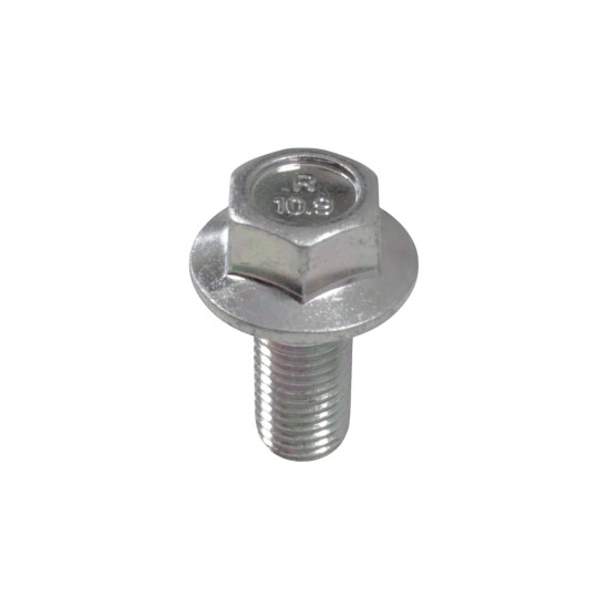 Screw M10x22mm SRK800RR SRK800RR-LI