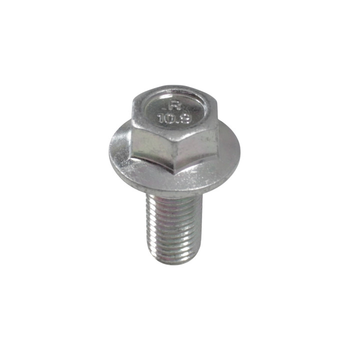 Screw M10x22mm SRK800RR SRK800RR-LI
